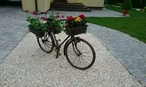 Dekoracje